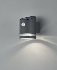 Aplica de perete pentru exterior cu senzor Salta, RL, 9x13 cm, 3W, 1x SMD, inox, antracit
