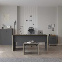 Birou, Hanah Home, Rms-320-Ax-1, 160x75x144 cm, Antracit / Stejar