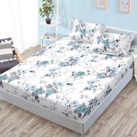 Cearsaf cu Elastic, Bumbac Satinat, 160x200 cm + 2 Fete de Perna 50x70 cm, Alb, floricele albastre