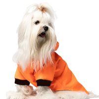 Hanorac pentru câini, Paws &amp; Whiskers, Mebranlı Raincoat, Portocaliu