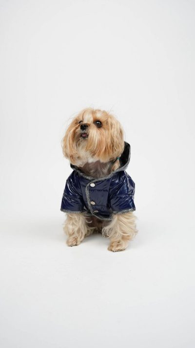 Hanorac pentru câini, Paws &amp; Whiskers, Moncler Coat, Indigo