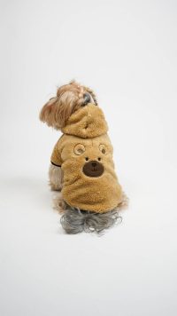 Hanorac pentru câini, Paws &amp; Whiskers, Teddy Welsoft Jacket, Verde