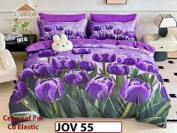 Lenjerie 5D din Finet 6 piese cu Elastic - JOV 55