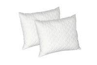Set Alcam 2 perne microfibra matlasata 40x50 cm