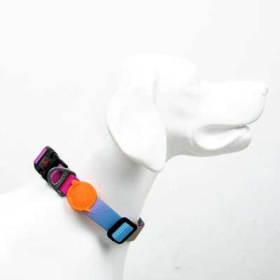 Zgarda pentru câini, Paws &amp; Whiskers, Pass, Poliester, Multicolor